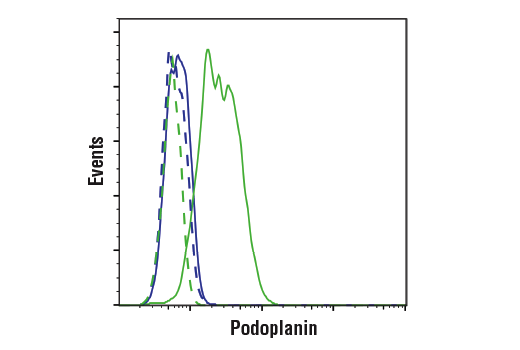 Flow Cytometry Image 1: Podoplanin (LpMab-12) Mouse mAb (BSA and Azide Free)