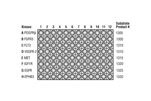  Image 3: HTScan® Profiling Kit (Tyrosine Kinase Set I)