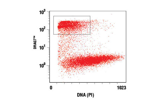 Flow Cytometry Image 1: DRAQ7™