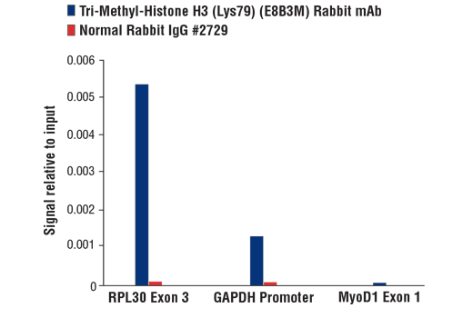 Chromatin Immunoprecipitation Image 3: Tri-Methyl-Histone H3 (Lys79) (E8B3M) Rabbit mAb