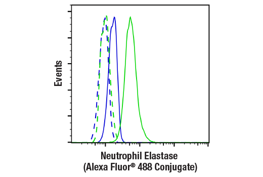 Flow Cytometry Image 1: Neutrophil Elastase (E6K6Q) Rabbit mAb (Alexa Fluor® 488 Conjugate)