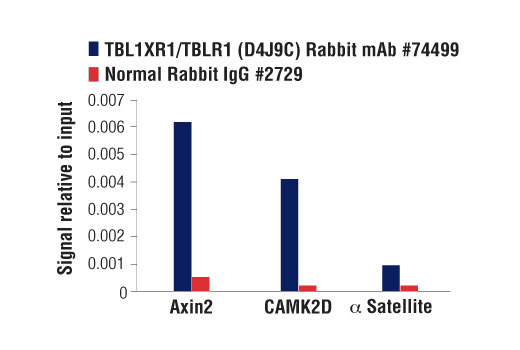 Chromatin Immunoprecipitation Image 1: TBL1XR1/TBLR1 (D4J9C) Rabbit mAb