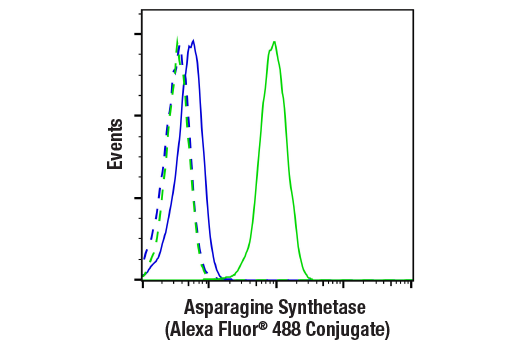 Flow Cytometry Image 1: Asparagine Synthetase (E6C2C) XP® Rabbit mAb (Alexa Fluor® 488 Conjugate)