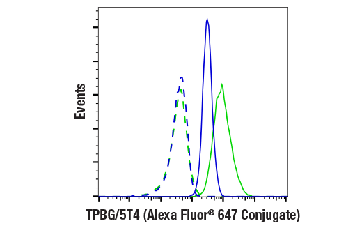 Flow Cytometry Image 1: TPBG/5T4 (E4T8Q) Rabbit mAb (Alexa Fluor® 647 Conjugate)