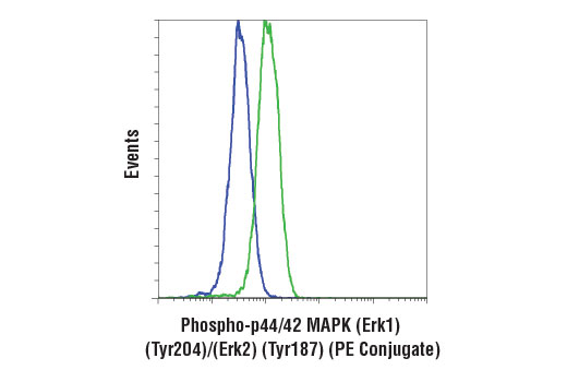 Flow Cytometry Image 1: Phospho-p44/42 MAPK (Erk1) (Tyr204)/(Erk2) (Tyr187) (D1H6G) Mouse mAb (PE Conjugate)