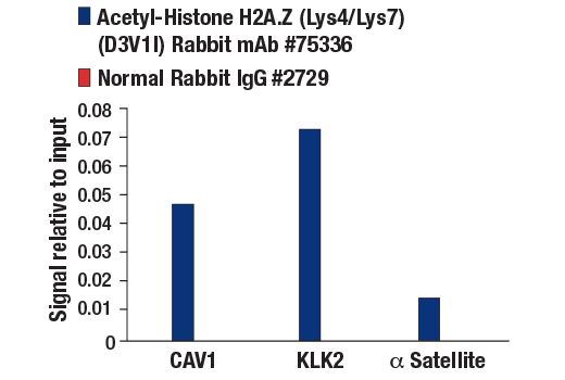 Chromatin Immunoprecipitation Image 3: Acetyl-Histone H2A.Z (Lys4/Lys7) (D3V1I) Rabbit mAb