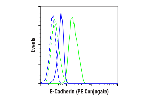 Flow Cytometry Image 1: E-Cadherin (24E10) Rabbit mAb (PE Conjugate)