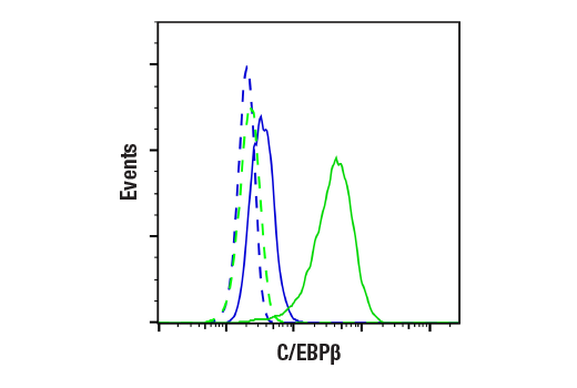 Flow Cytometry Image 1: C/EBPβ (E2K1U) Rabbit mAb (BSA and Azide Free)