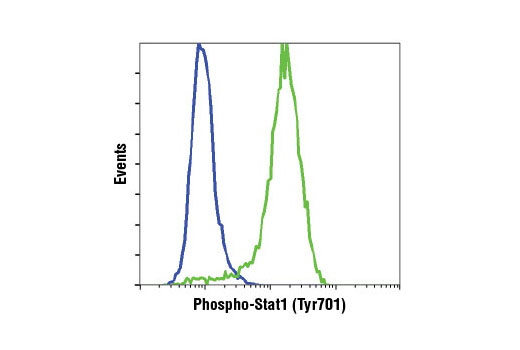 Flow Cytometry Image 1: Phospho-Stat1 (Tyr701) (D4A7) Rabbit mAb