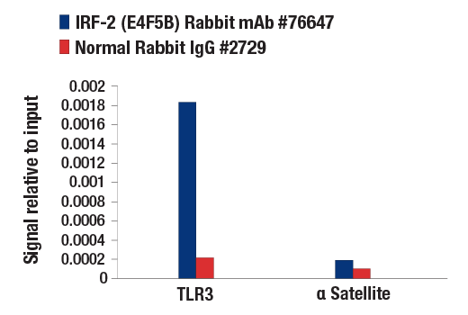 Chromatin Immunoprecipitation Image 1: IRF-2 (E4F5B) Rabbit mAb