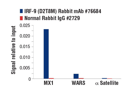  Image 42: IFN (Type I/III) Signaling Pathway Antibody Sampler Kit
