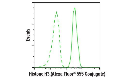 Flow Cytometry Image 1: Histone H3 (D1H2) XP® Rabbit mAb (Alexa Fluor® 555 Conjugate)