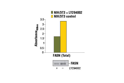  Image 1: PathScan® Total Fatty Acid Synthase Sandwich ELISA Kit
