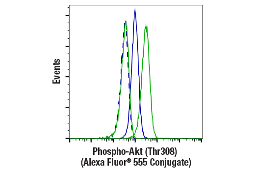 Flow Cytometry Image 1: Phospho-Akt (Thr308) (D25E6) XP ® Rabbit mAb (Alexa Fluor® 555 Conjugate)