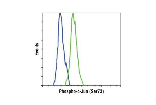 Flow Cytometry Image 1: Phospho-c-Jun (Ser73) (D47G9) XP® Rabbit mAb (BSA and Azide Free)