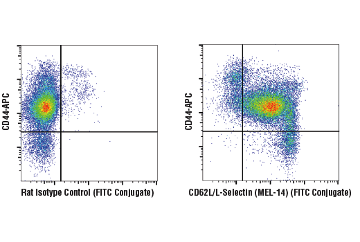 Flow Cytometry Image 2: Mouse Naive/Effector/Memory T Cell Markers Flow Cytometry Panel