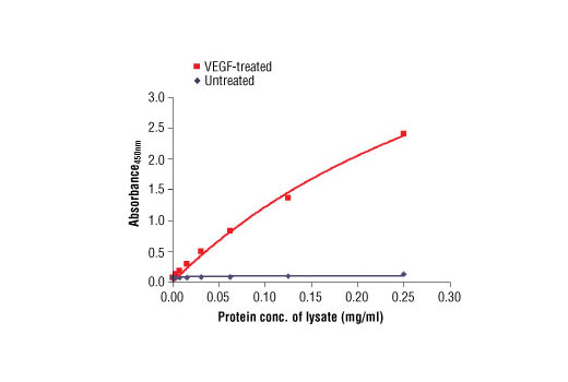  Image 1: PathScan® Phospho-VEGFR-2 (Tyr1175) Sandwich ELISA Antibody Pair