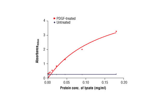  Image 1: PathScan® Phospho-PDGF Receptor β (Tyr751) Sandwich ELISA Antibody Pair