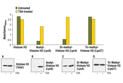  Image 1: PathScan® Tri-Methyl-Histone H3 (Lys27) Sandwich ELISA Kit