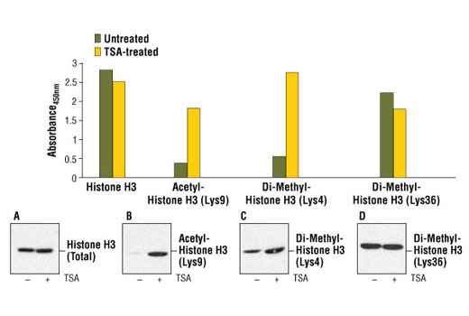  Image 1: PathScan® Di-Methyl-Histone H3 (Lys36) Sandwich ELISA Kit