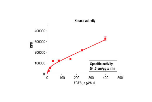  Image 5: HTScan® EGF Receptor Kinase Assay Kit