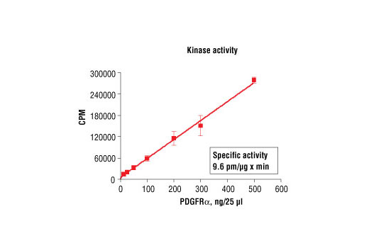  Image 2: HTScan® PDGF Receptor α Kinase Assay Kit