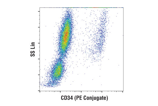 Flow Cytometry Image 1: CD34 (ICO115) Mouse mAb (PE Conjugate)