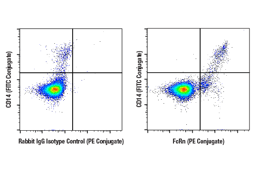 Flow Cytometry Image 1: FcRn (E6D1S) Rabbit mAb (PE Conjugate)