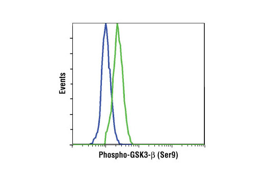 Flow Cytometry Image 1: Phospho-GSK-3β (Ser9) (D85E12) XP® Rabbit mAb (BSA and Azide Free)