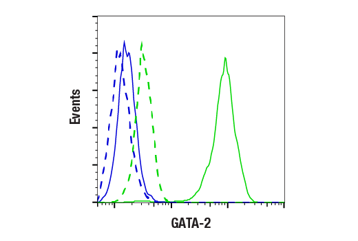 Flow Cytometry Image 1: GATA-2 (E9T6F) Rabbit mAb