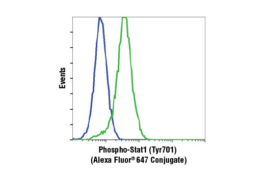 Flow Cytometry Image 1: Phospho-Stat1 (Tyr701) (58D6) Rabbit mAb (Alexa Fluor® 647 Conjugate)