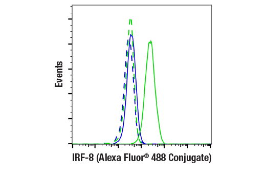 Flow Cytometry Image 1: IRF-8 (E6J8Q) XP® Rabbit mAb (Alexa Fluor® 488 Conjugate)