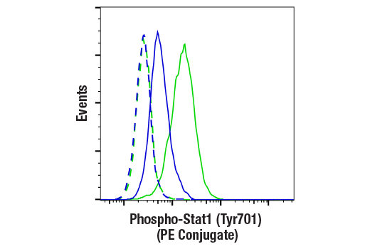 Flow Cytometry Image 1: Phospho-Stat1 (Tyr701) (58D6) Rabbit mAb (PE Conjugate)