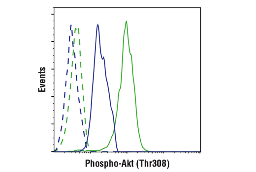 Flow Cytometry Image 1: Phospho-Akt (Thr308) (D25E6) XP® Rabbit mAb (BSA and Azide Free)