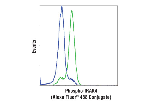 Flow Cytometry Image 1: Phospho-IRAK4 (Thr345/Ser346) (D6D7) Rabbit mAb (Alexa Fluor® 488 Conjugate)