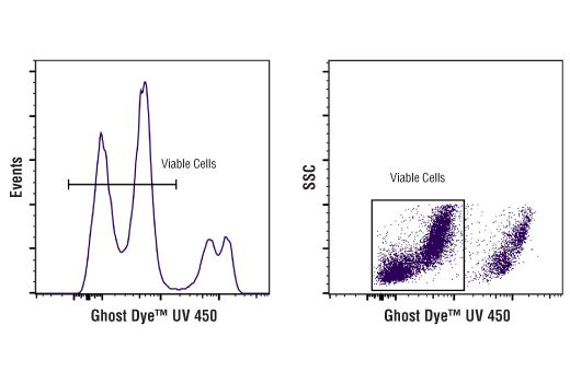 Flow Cytometry Image 1: Ghost Dye™ UV 450 Fixable Viability Dye