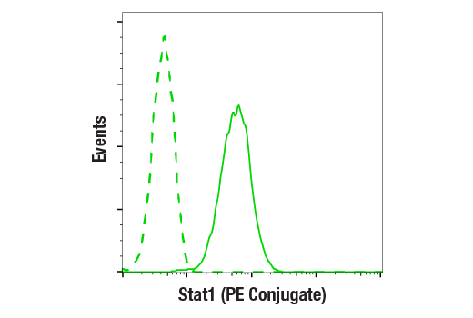 Flow Cytometry Image 1: Stat1 (D1K9Y) Rabbit mAb (PE Conjugate)