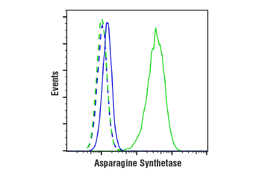 Flow Cytometry Image 1: Asparagine Synthetase (E6C2C) XP® Rabbit mAb (BSA and Azide Free)