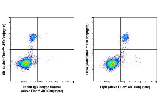 Flow Cytometry Image 1: LTβR (E5I6X) Rabbit mAb (Alexa Fluor® 488 Conjugate)