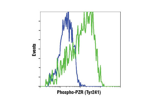 Flow Cytometry Image 1: Phospho-PZR (Tyr241) (D6F9) Rabbit mAb