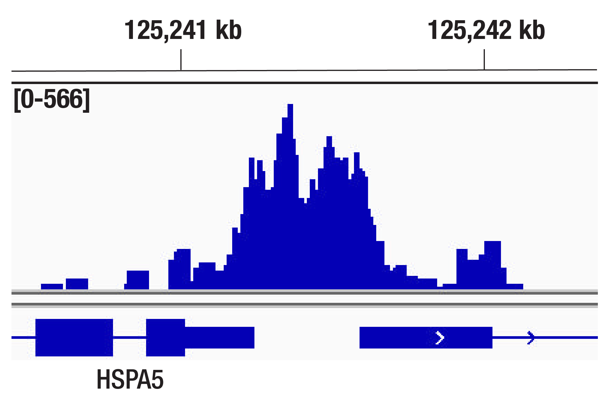 CUT & Tag Image 1: Cyclin T1 (D1B6G) Rabbit Monoclonal Antibody