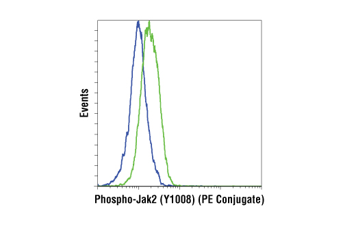 Flow Cytometry Image 1: Phospho-Jak2 (Tyr1008) (D4A8) Rabbit mAb (PE Conjugate)