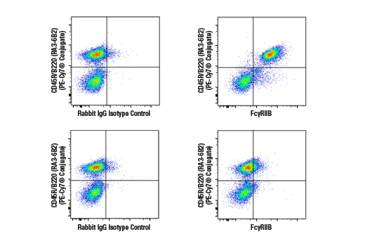 Flow Cytometry Image 4: FcγRIIB (D8F9C) XP® Rabbit mAb (BSA and Azide Free)