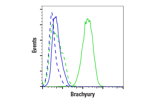 Flow Cytometry Image 1: Brachyury (D2Z3J) Rabbit mAb