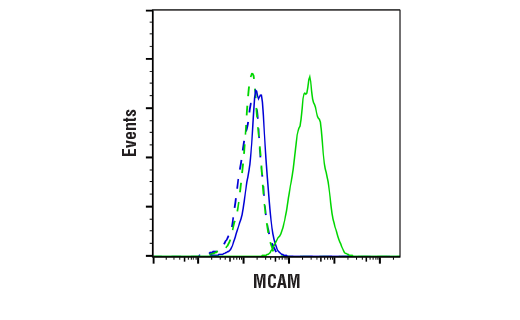 Flow Cytometry Image 1: MCAM (E3F3E) XP® Rabbit mAb