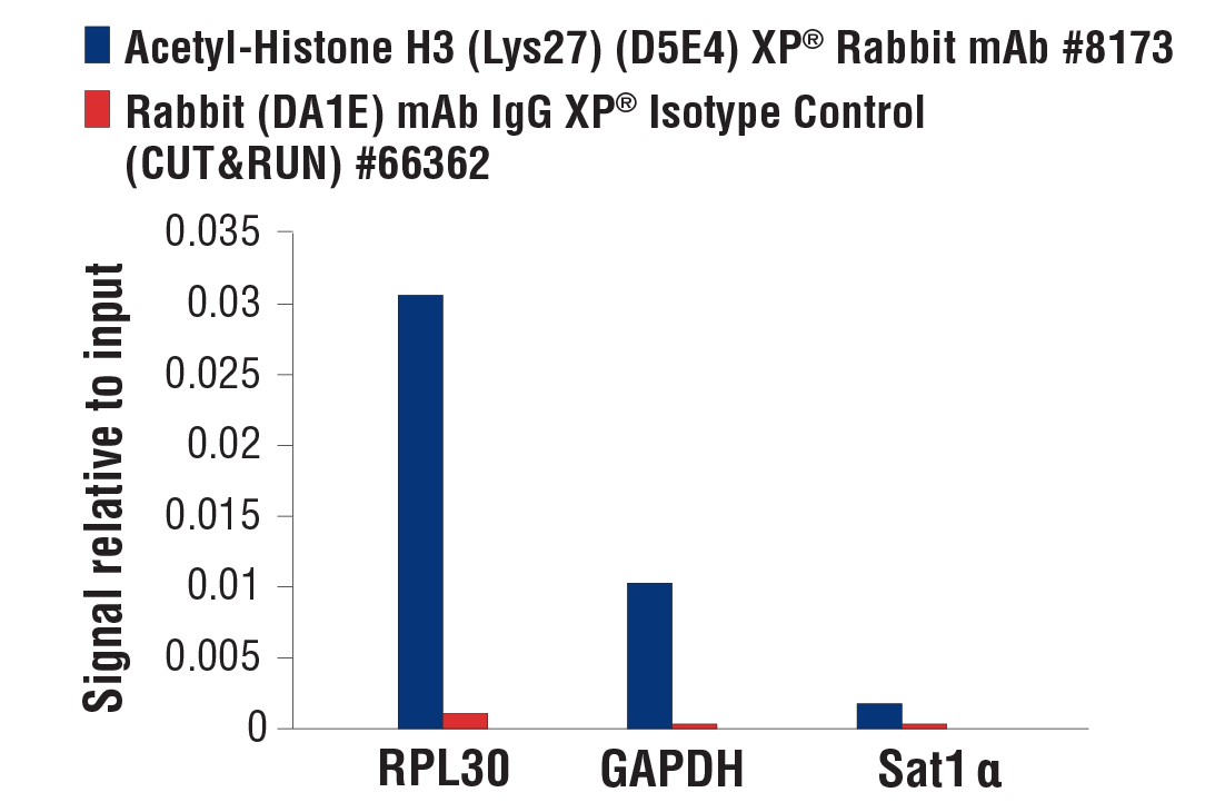 CUT and RUN Image 3: Acetyl-Histone H3 (Lys27) (D5E4) XP® Rabbit mAb