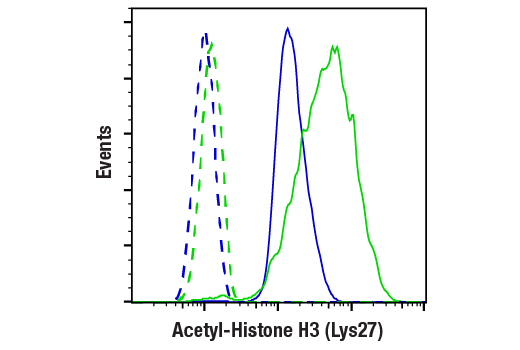  Image 27: Acetyl-Histone H3 Antibody Sampler Kit