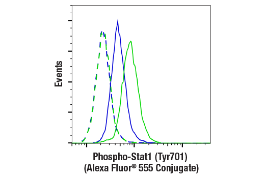 Flow Cytometry Image 1: Phospho-Stat1 (Tyr701) (58D6) Rabbit mAb (Alexa Fluor® 555 Conjugate)