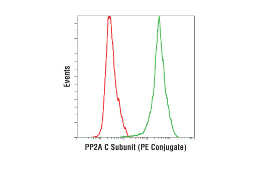 Flow Cytometry Image 1: PP2A C Subunit (52F8) Rabbit mAb (PE Conjugate)
