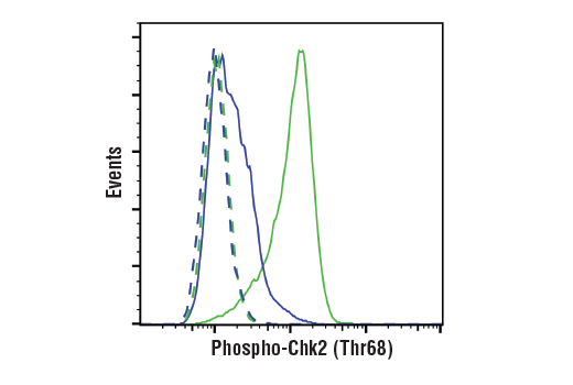 Flow Cytometry Image 1: Phospho-Chk2 (Thr68) (E8Q1A) Rabbit mAb